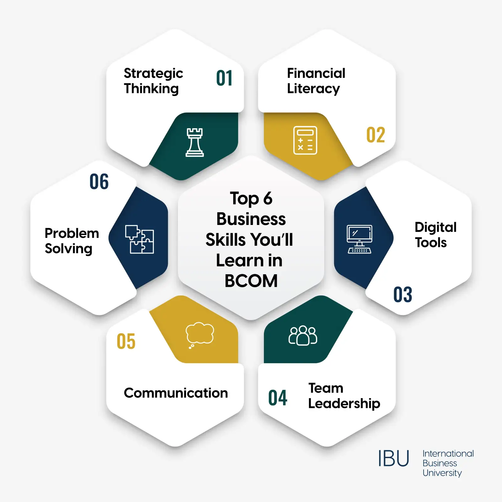 Bachelor of Commerce Degree-Building Real-World Business Skills