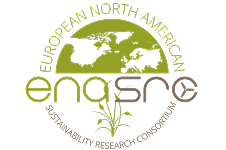 Enasno Logo